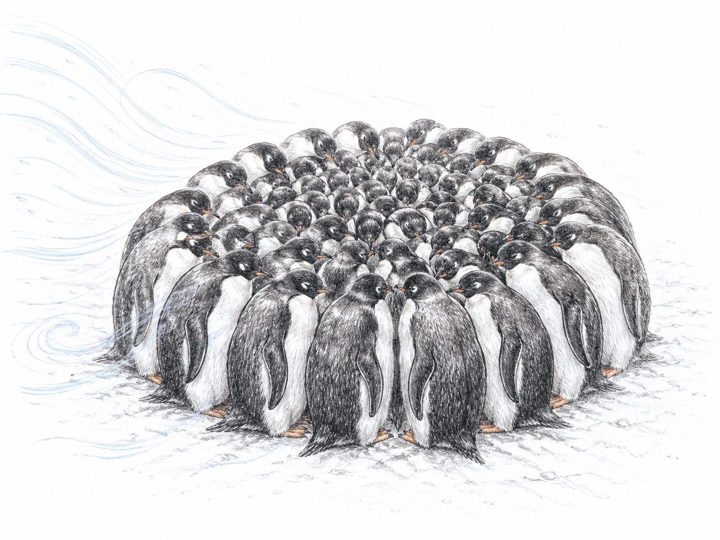 A huddle of penguins